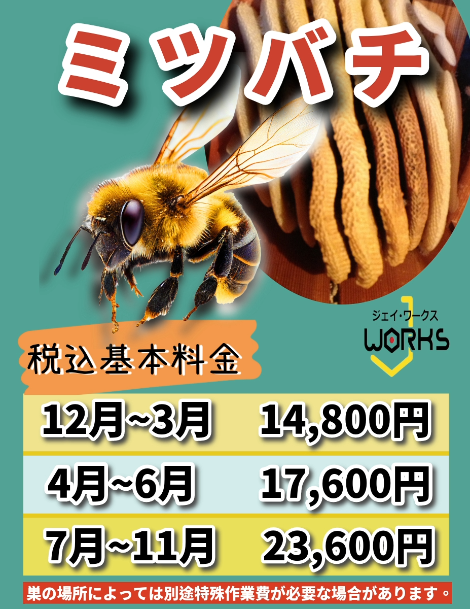 栗東市のミツバチ駆除料金